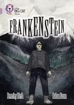 Image of Frankenstein - Beverley Birch - Paperback - Used