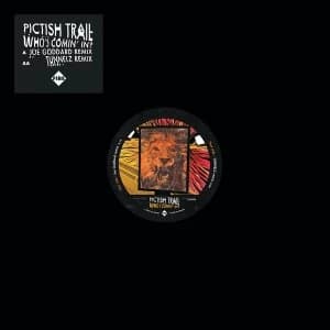 Image of Pictish Trail - Who's Comin' In? Vinyl
