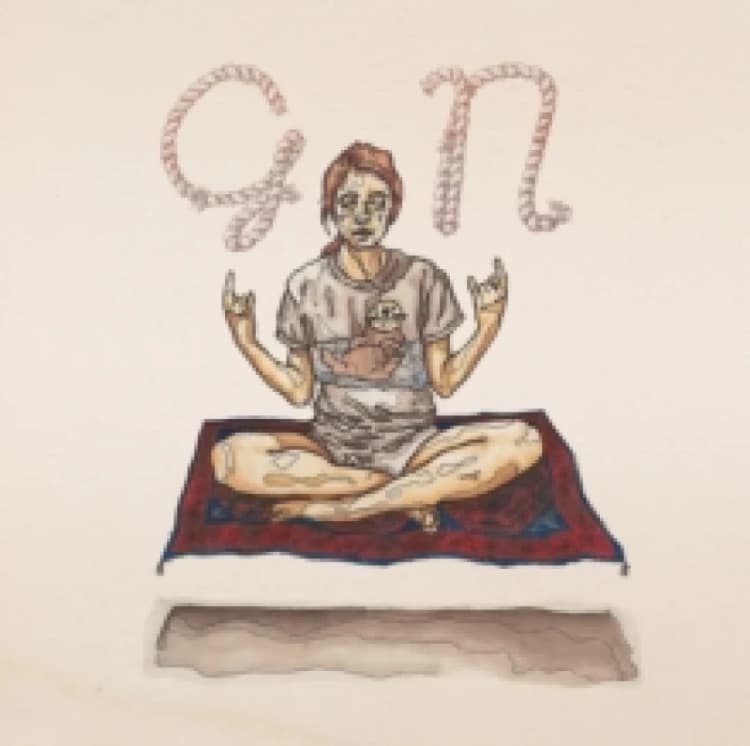 Image of GN Vinyl