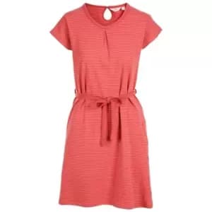 Image of Trespass Womens/Ladies Lidia Round Neck Cotton Dress (XL) (Rhubarb Stripe)