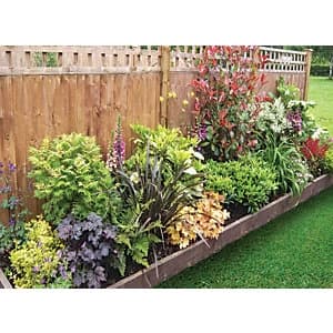 Image of Garden On A Roll Mixed Shady Border Pack 9m x 60cm Plants