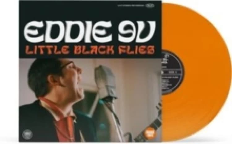 Image of Little Black flies Vinyl