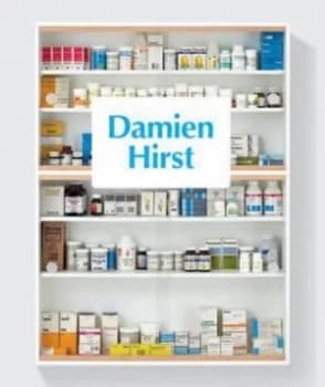 Image of Damien Hirst by Ann Gallagher Paperback