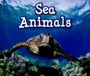 Image of Sea animals by Sin Smith