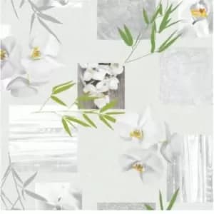 Image of Paul Edward Edward Vinyl Tablecloths - None