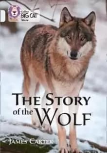 Image of The Story of the Wolf : Band 17/Diamond