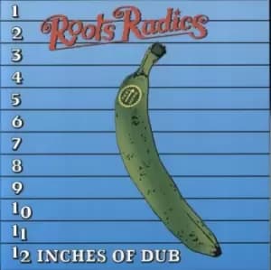 Image of 12 inches of dub by Roots Radics Vinyl Album