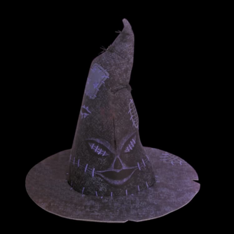 Image of Harry Potter: Sorting Hat