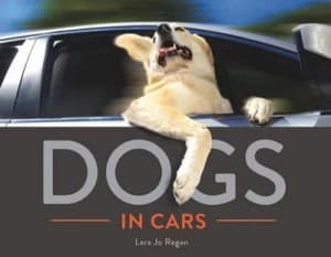 Image of Dogs in Cars by Lara Jo Regan Hardback
