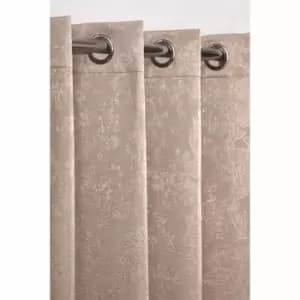 Image of Emma Barclay Regency Curtain 46 x 54" Taupe