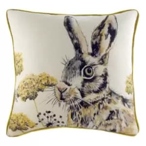 Image of Elwood Hare Cushion Multicolour, Multicolour / 50 x 50cm / Polyester Filled