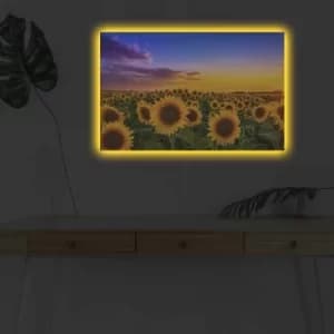 Image of 4570DHDACT-002 Multicolor Decorative LED Lighted Canvas Painting