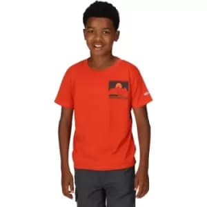 Image of Regatta Boys Alvarado VII Quick Dry Graphic T Shirt 11-12 Years - Chest 75-79cm (Height 146-152cm)