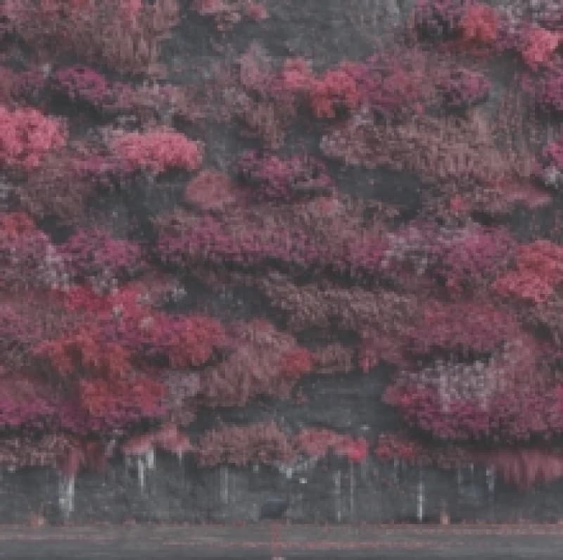 Image of Even in Arcadia CD / Album