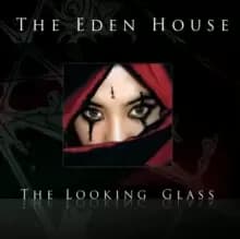 Image of The Looking Glass