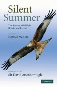 Image of Silent Summer by Norman Maclean Hardback