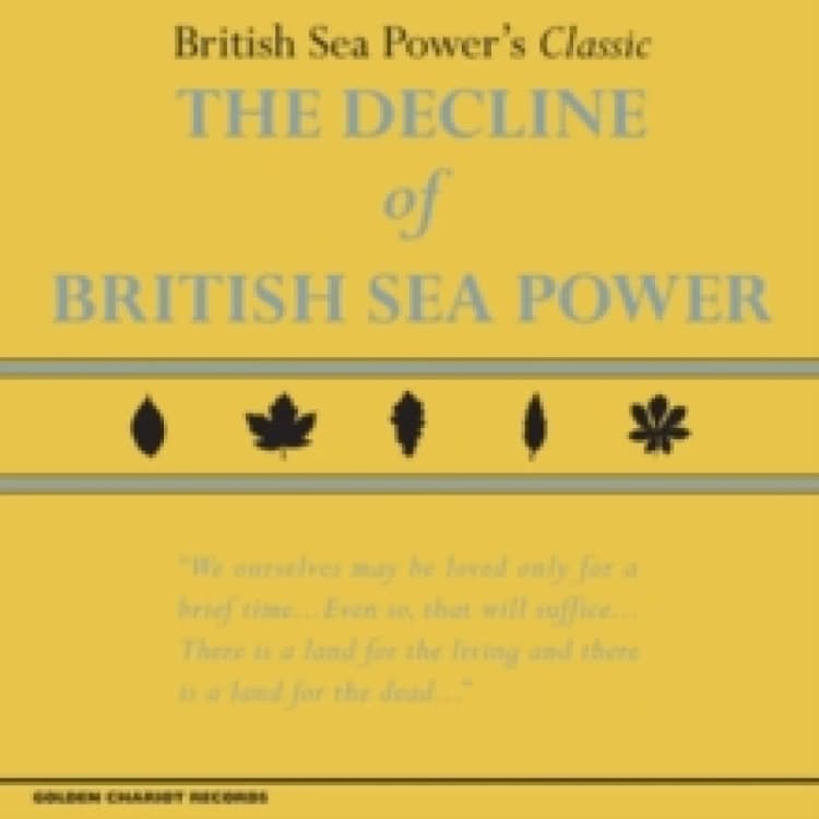 Image of The Decline of British Sea Power Vinyl