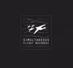 Image of Simultaneous Flight Movement by Laura Cannell CD Album