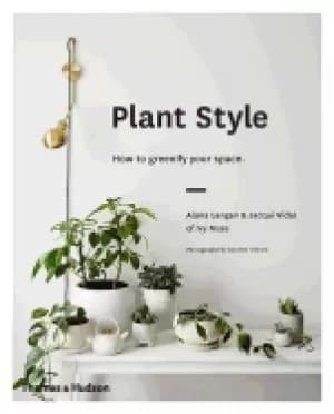 Image of plant style how to greenify your space