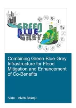 Image of Combining Green-Blue-Grey Infrastructure for Flood Mitigation and Enhancement of Co-Benfits