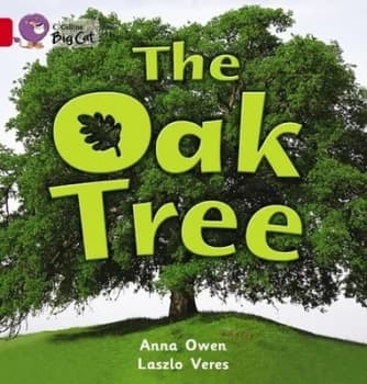 Image of The Oak Tree by Anna Owen Paperback