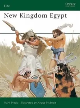 Image of New Kingdom Egypt by Mark Healy Book
