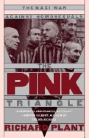 Image of pink triangle the nazi war against homosexuals