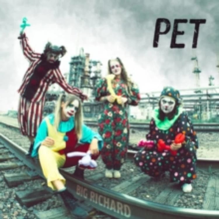 Image of Pet CD / Album