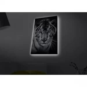 Image of 4570MDACT-053 Multicolor Decorative LED Lighted Canvas Painting