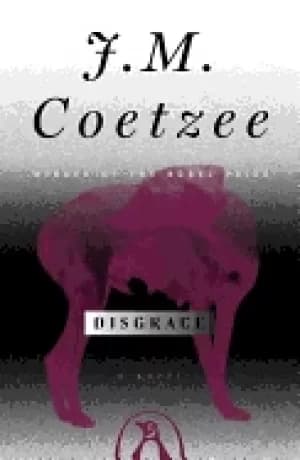 Image of disgrace a novel