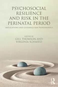 Image of Psychosocial Resilience and Risk in the Perinatal PeriodImplications and Guidance for Professionals
