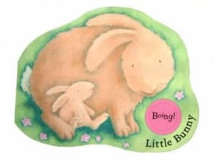 Image of Little Bunny by Rebecca Harry Book