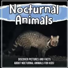 Image of Nocturnal Animals : Discover Pictures and Facts About Nocturnal Animals For Kids!