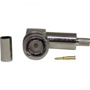 Image of BNC connector Plug right angle 75