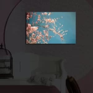 Image of 4570?ACT-41 Multicolor Decorative LED Lighted Canvas Painting