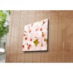 Image of 4545C-85 Multicolor Decorative Canvas Painting