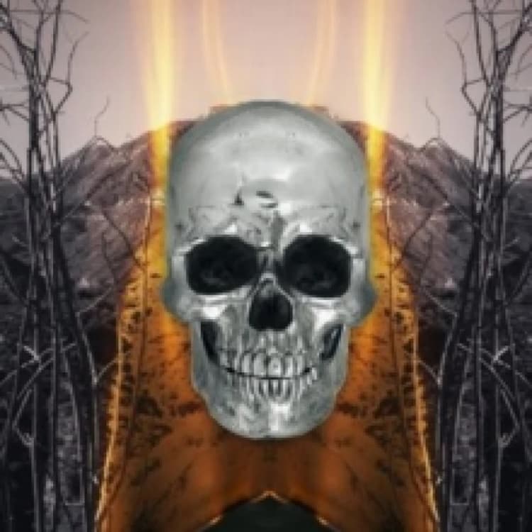 Image of Dark Side of Everything CD / Album