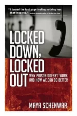 Image of Locked down locked out by Maya Schenwar