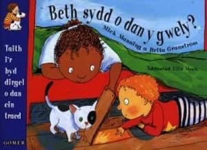 Image of Beth Sydd O Dan Y Gwely by Mick Manning Paperback