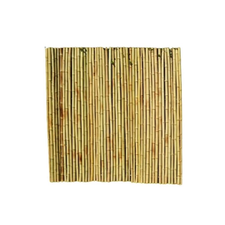 Image of Bamboo supplies ltd Roll Screen for Garden Fencing - Bamboo - L200 x W3 x H200cm - Moso in Brown Brown Unisex