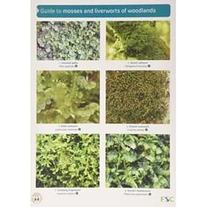 Image of Guide to Mosses and Liverworts of Woodlands Fold-out book or chart 2014