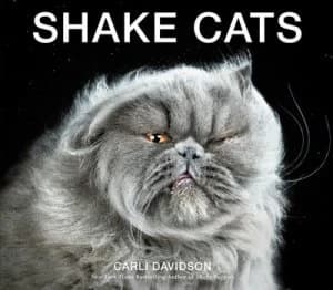 Image of Shake Cats by Carli Davidson Hardback
