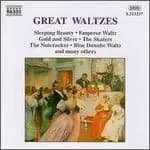 Image of great waltzes various