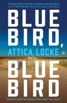 Image of Bluebird, Bluebird