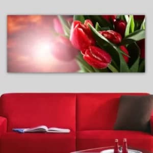 Image of YTY83107504_50120 Multicolor Decorative Canvas Painting
