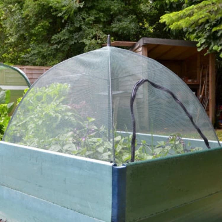 Image of GardenSkill Pop N Crop Garden Netting Plant Protection Umbrella - Instant Fine Mesh Bird Net Flower Cover Fruit Cage Grow House 1.2X0.8X0.75M