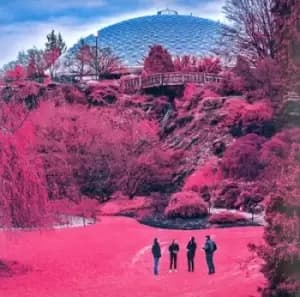 Image of Swooner by The Zolas CD Album