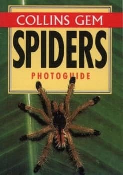 Image of Spiders Photoguide by Paul Hillyard Paperback