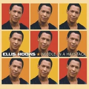 Image of Needle in a Haystack by Ellis Hooks CD Album