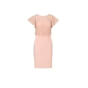 Image of Adrianna Papell Sequin Guipure Crepe Dress - Nude